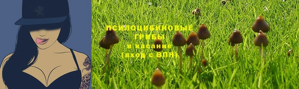 spice Рославль