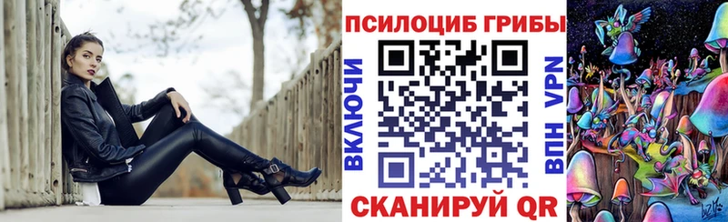Псилоцибиновые грибы Magic Shrooms  blacksprut ССЫЛКА  Нариманов 